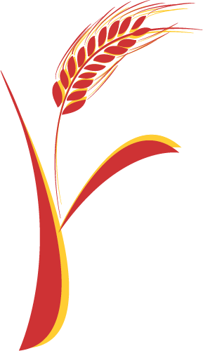 Flour - Flour (289x500)