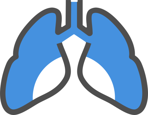 Lung Scan - Lung Scan (500x388)