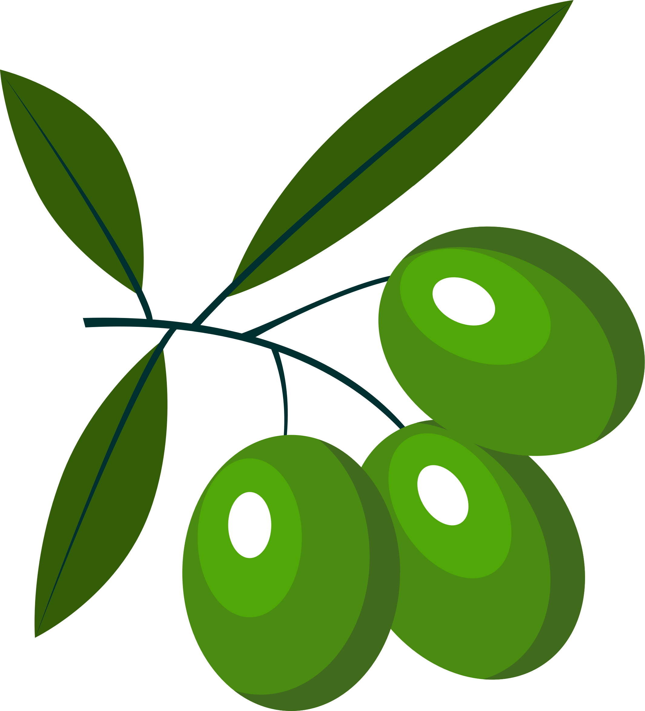 Big Image - Olive (2130x2350)