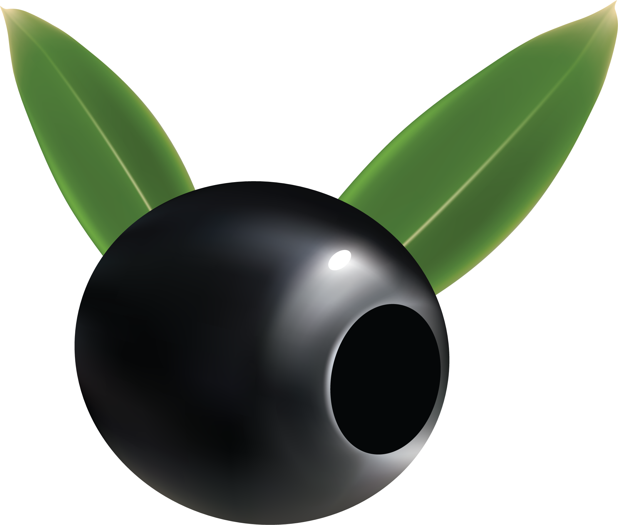 Olive (2103x1787)