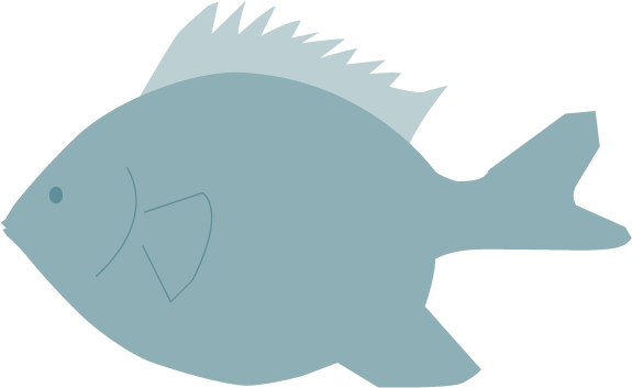 View All Images-1 - Pomacentridae (640x640)