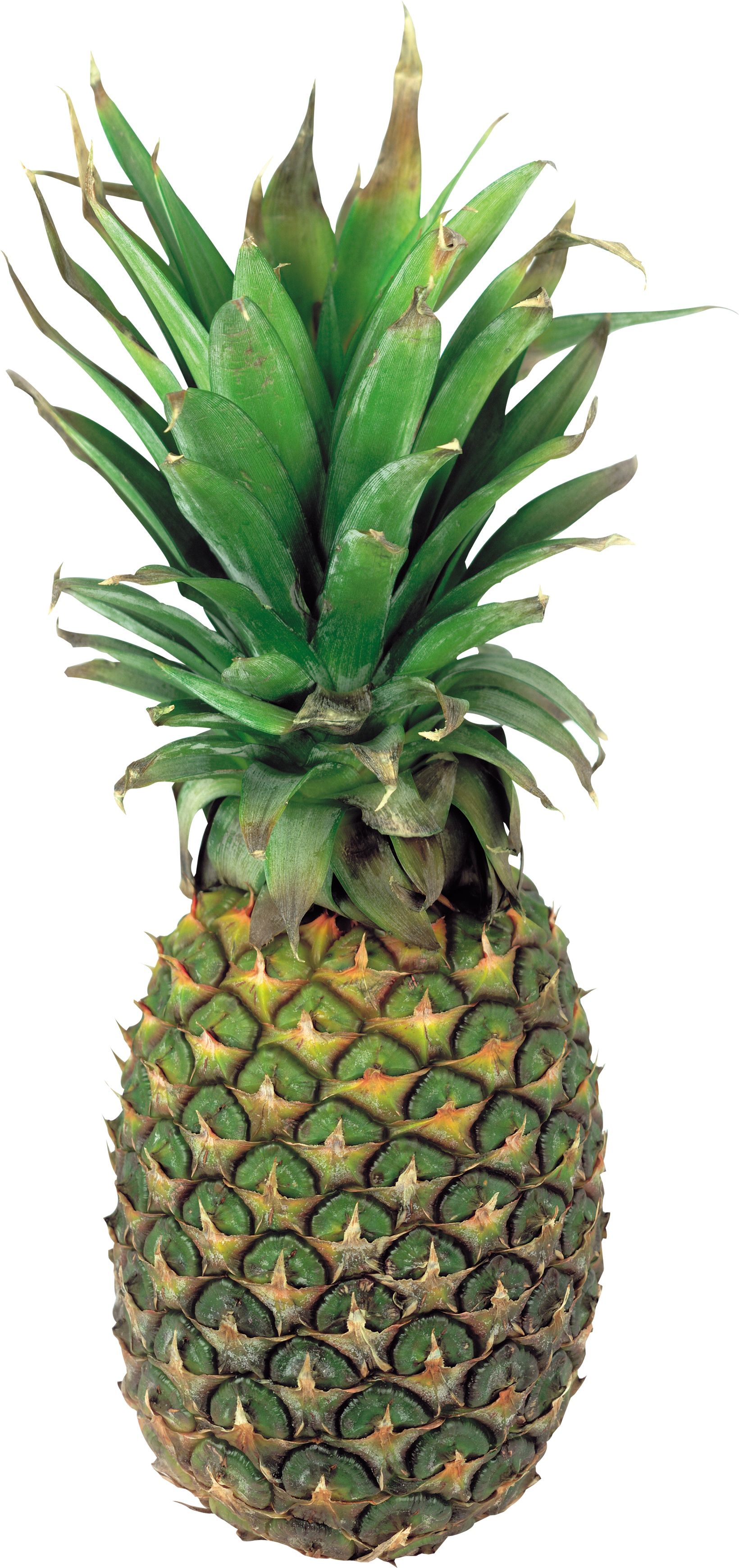 Pineapple - Pineapple (1640x3481)