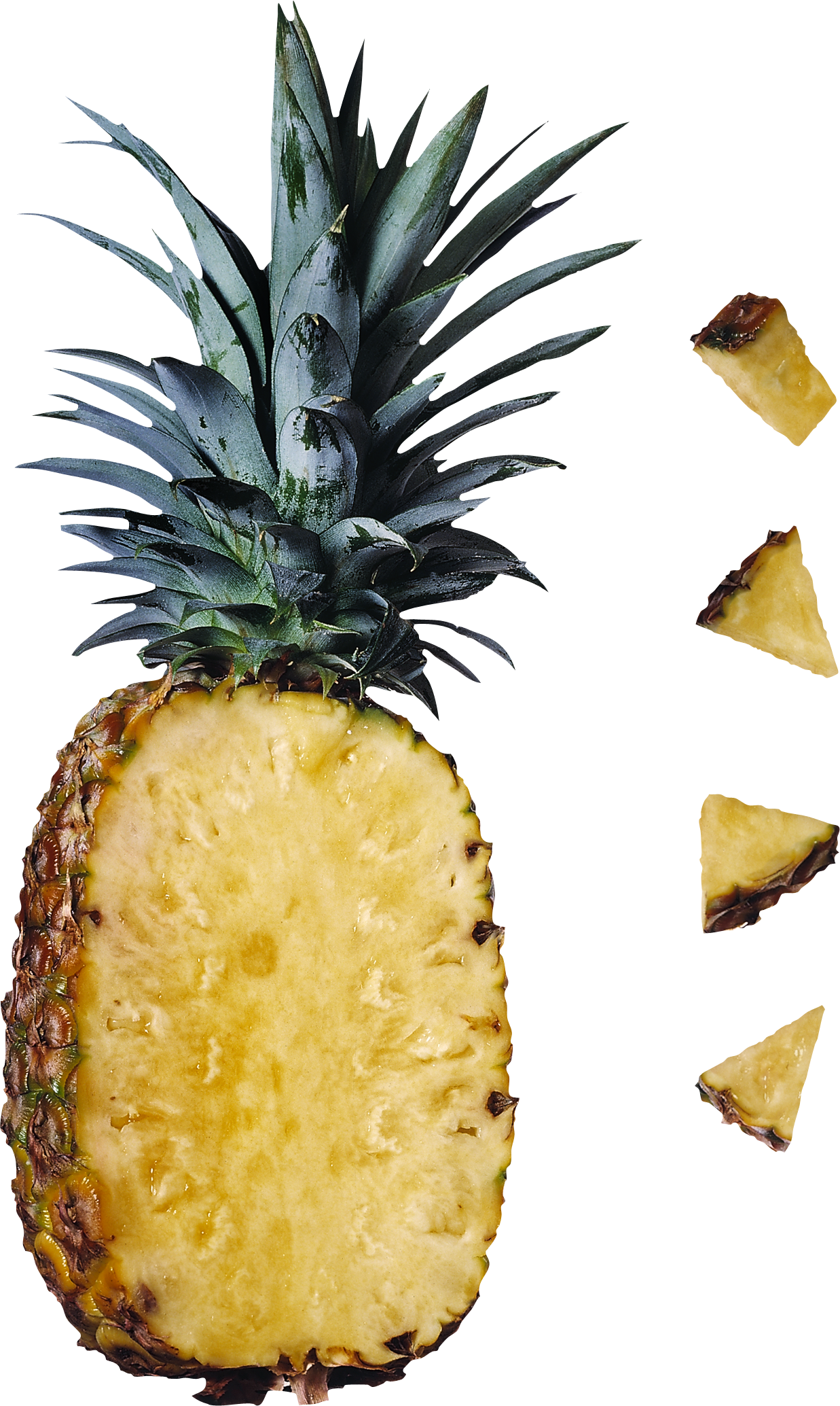 Pineapple Png (1237x2069)