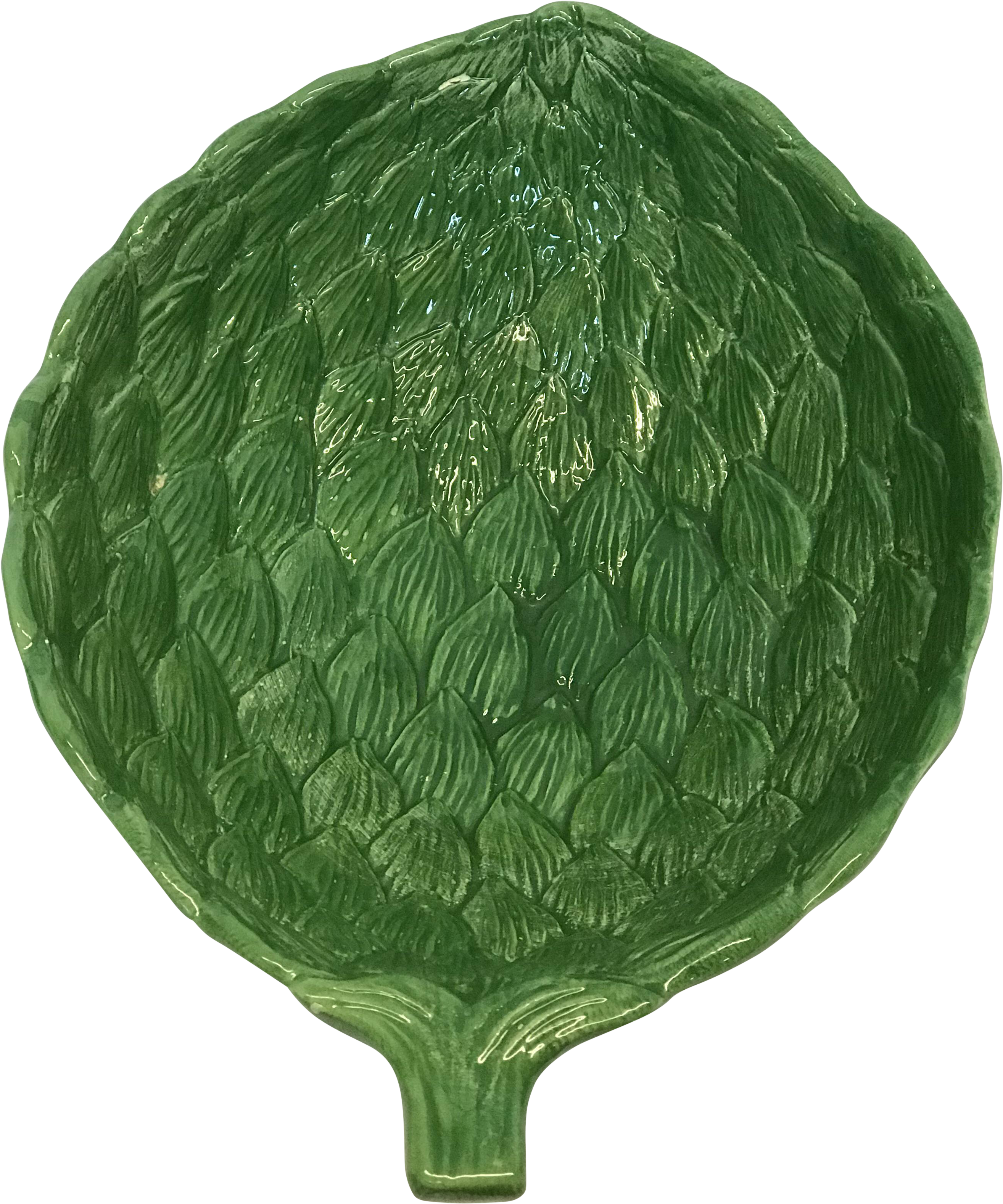 Soursop (2920x3507)