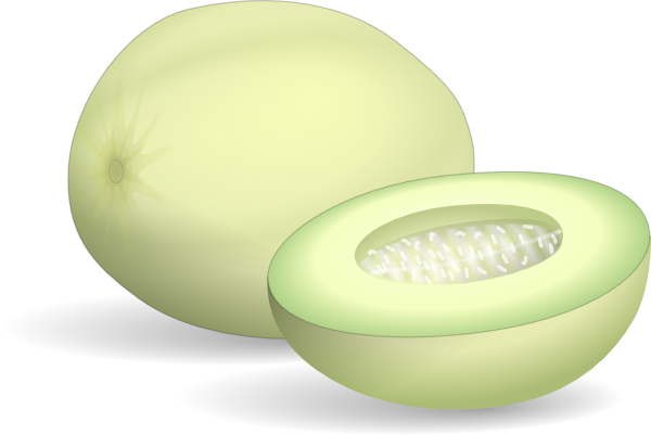 Honey Dew Melon Drawing (600x401)