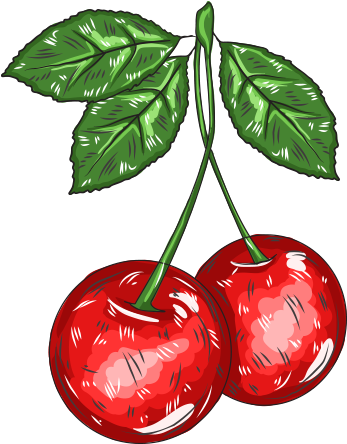 Cherry Cartoon Adobe Illustrator - Cherry Cartoon Adobe Illustrator (700x692)