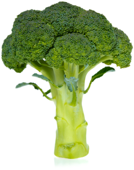 Broccoli - Vertus De Brocoli (340x373)