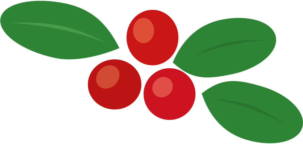 Cowberry Berry Autumn Leaf Food Png Image - Berry Bushes Vector Png (1280x640)