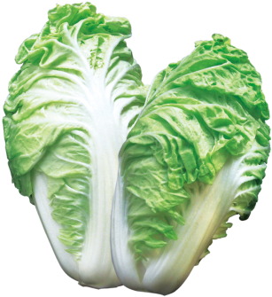 Iceburg Lettuce (360x360)