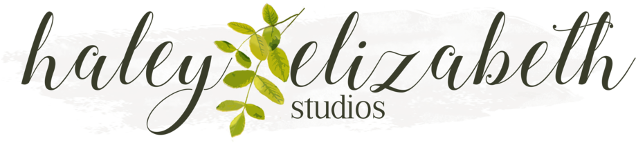 Haley Elizabeth Studios - Haley Elizabeth Studios (1000x381)