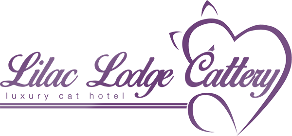 Llc Logo - Klaipėda (600x280)
