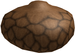 Acorn - Wikia (420x420)
