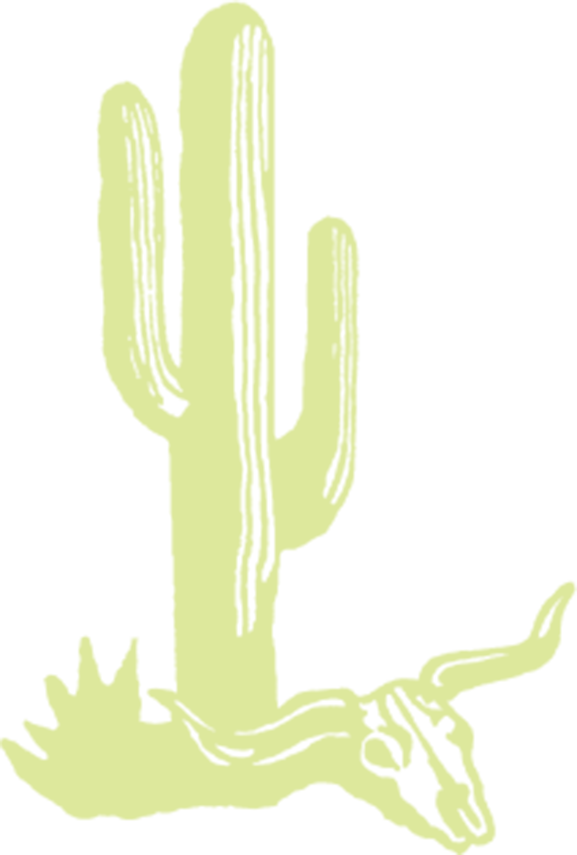 Enchiladas - Illustration (1173x1737)
