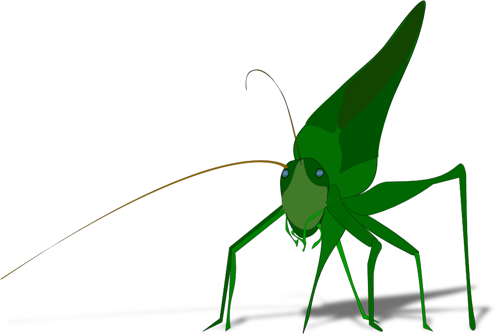 Grasshopper Clipart (1078x750)
