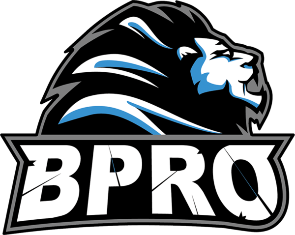 Team Information - Bpro Csgo (600x478)