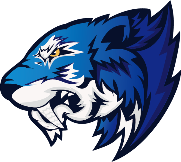 Team Statistics - Flash Gaming Csgo (600x536)