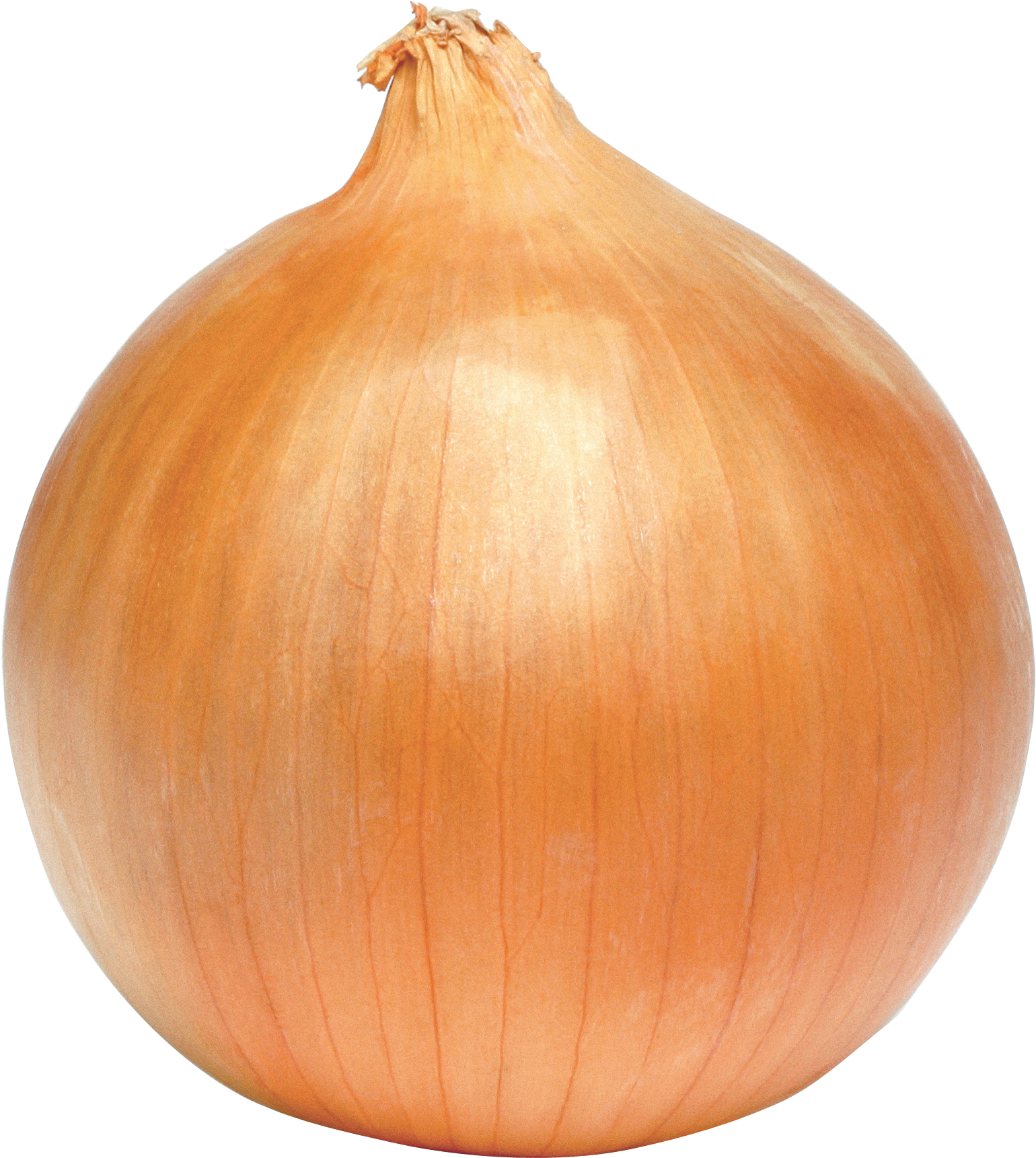 The Onion Fund - The Star (1702x1898)