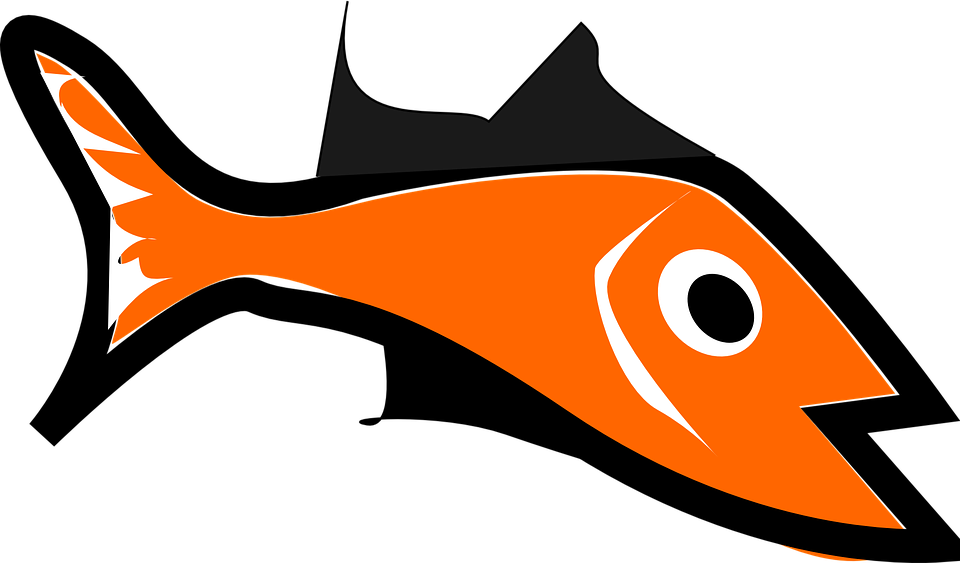 Pez Clipart - Pez (960x563)