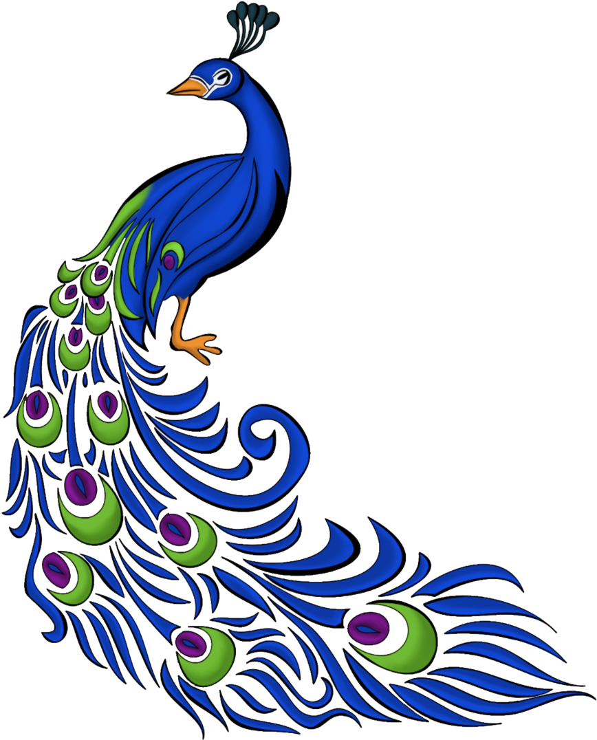 Image - Peacock Drawing With Colour (1024x1365)