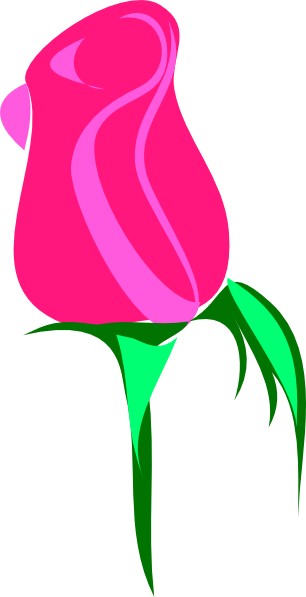 Flower Images Small Size (306x597)