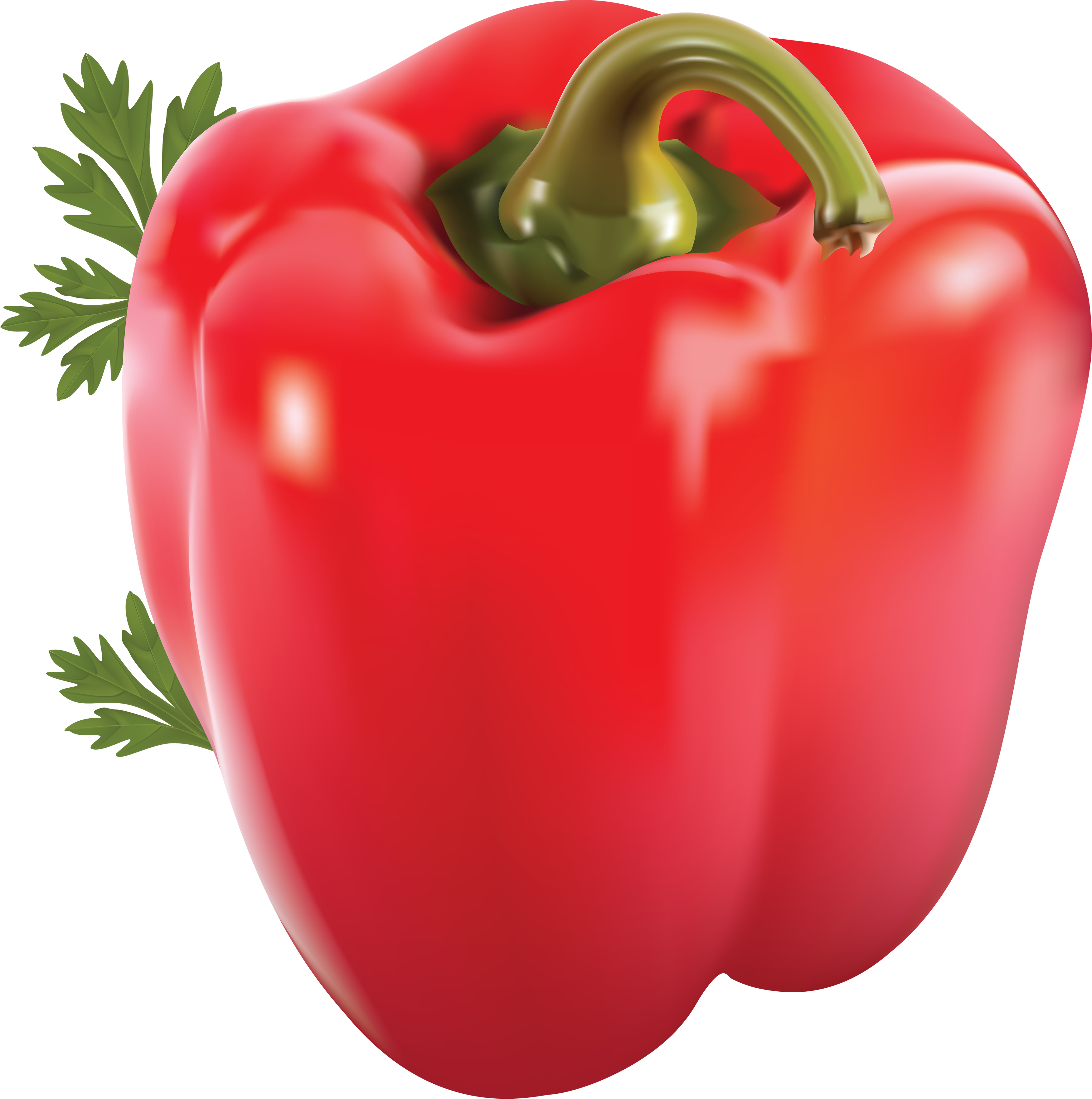   Red Pepper Clipart (3501x3524)