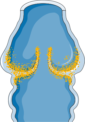 Vein - Vein (291x416)