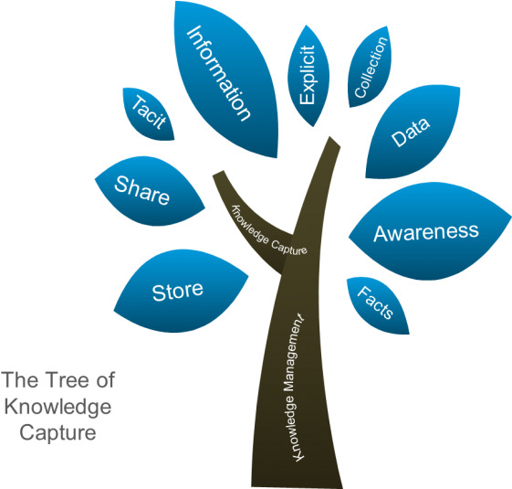 Knowledge Capture2 - Drawing (600x534)