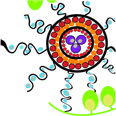 Evaluation Highlights & Outcomes - Circle (378x439)