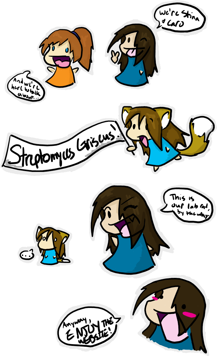 Streptomyces Griseus - Cartoon (792x1238)