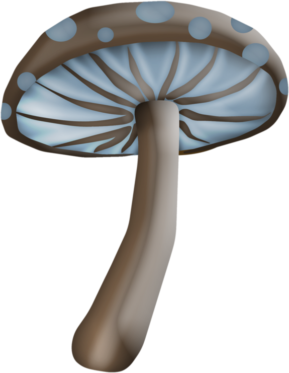 Champignons,png,tubes - Table (600x767)