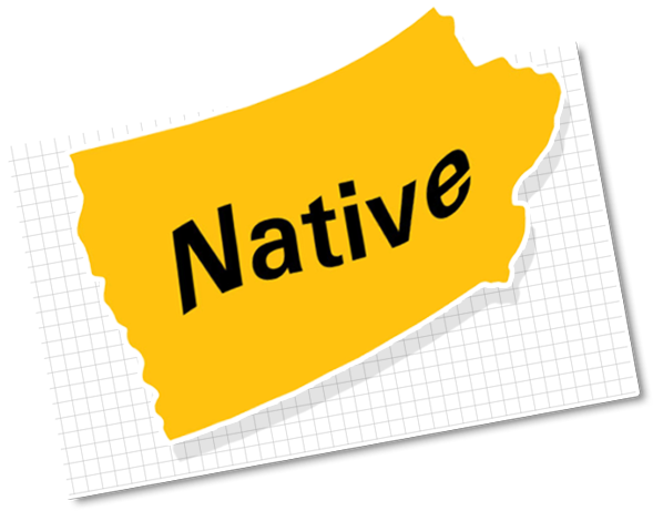 Label (600x600)