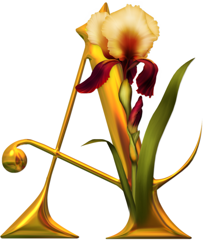 Flower Illuminated Letters (677x800)