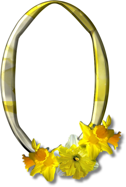 Tubes Image De Chez - Sunflower (540x752)