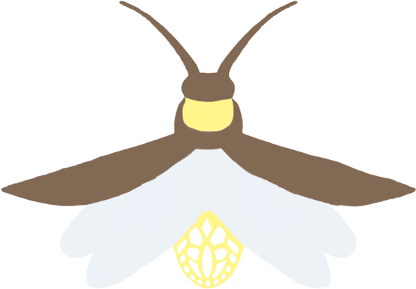 Firefly Transparent Background - Transparency (1000x1000)