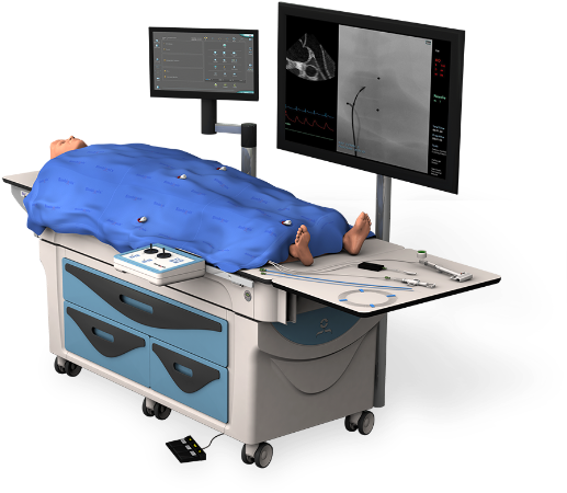 Angio Mentor Simbionix (577x594)
