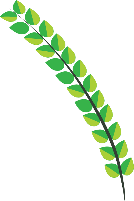 Your Browser Does Not Support The Video Tag - Twig (469x701)
