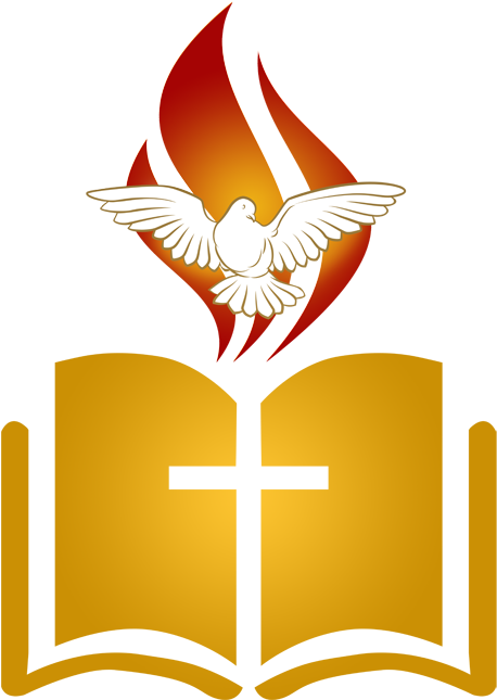Book (500x665)
