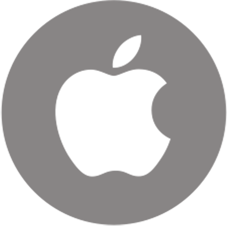 Ipad App Development Icon (450x450)
