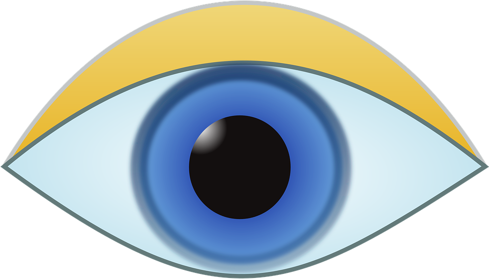 Iris Cliparts 2, Buy Clip Art - Iris (960x557)