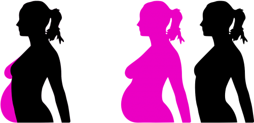 Pregnant Clip Art (1368x750)