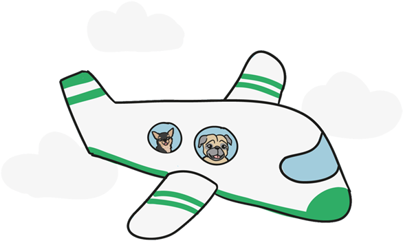 Boogie The Pug - Pug (600x358)