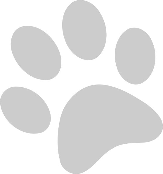 Jejak Kaki Kucing Vector (558x597)
