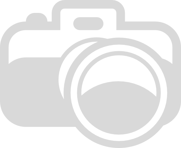 Camera Image Grey Png (600x492)