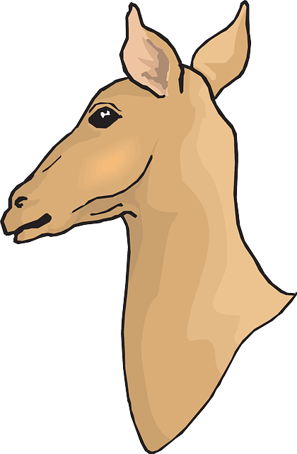 Deer (420x640)