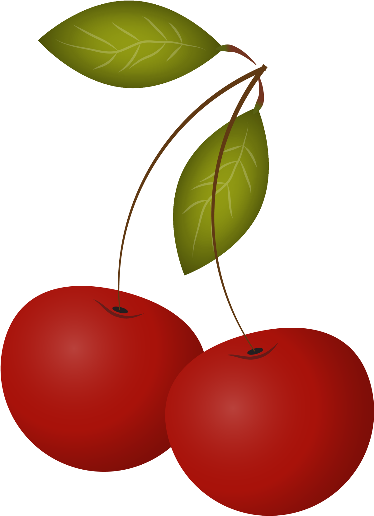 Cherry Leaf Drawing - Red (1200x1712)