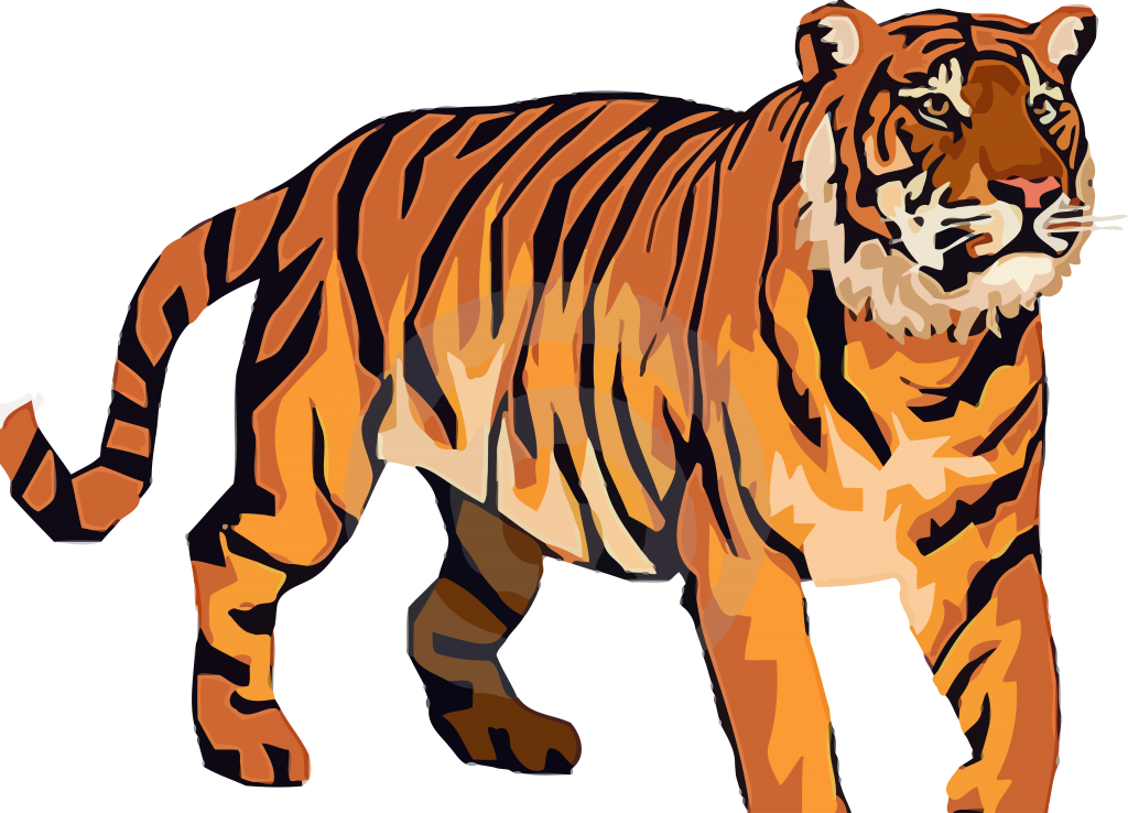 Tiger Clipart (1024x738)
