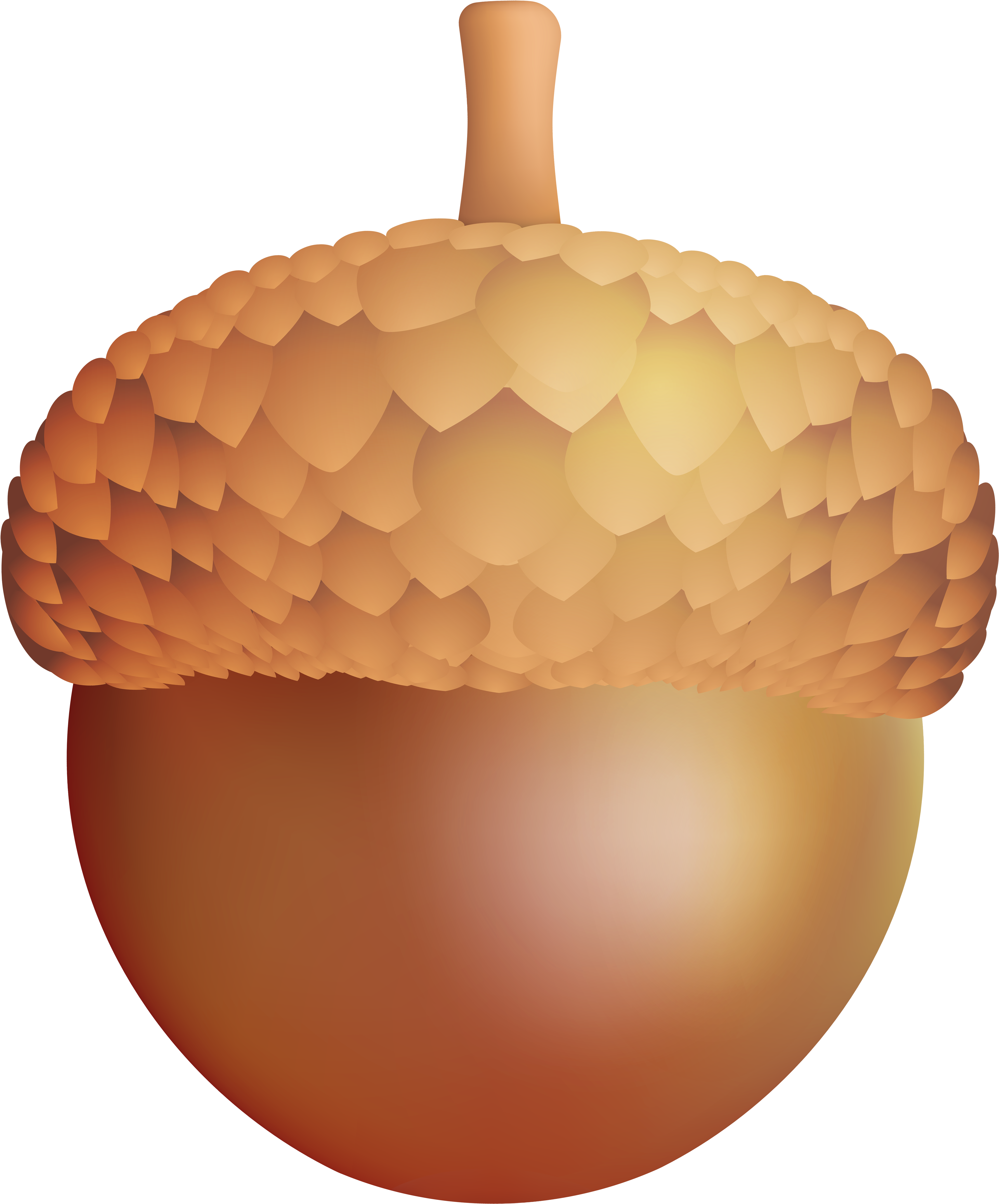 View Full Size - View Full Size (5019x6000)