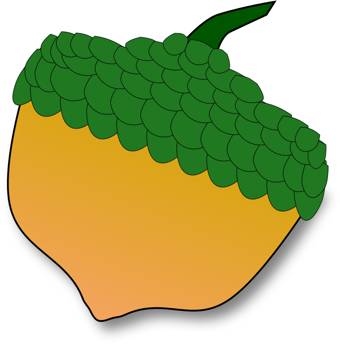 Acorn - Oak (800x688)