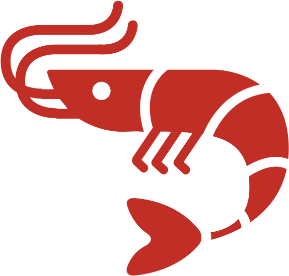 Shrimp - Shrimp (700x700)