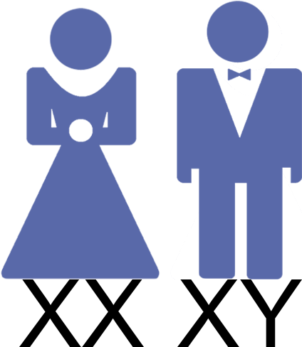 Same-sex Marriage (487x487)